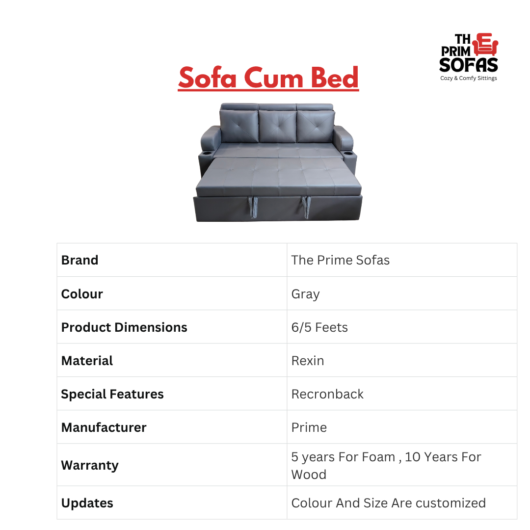 Sofa Cum Bed
